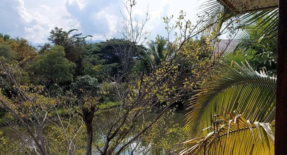 Casa en venta de 4 habitaciones en Mae Rim, Chiang Mai