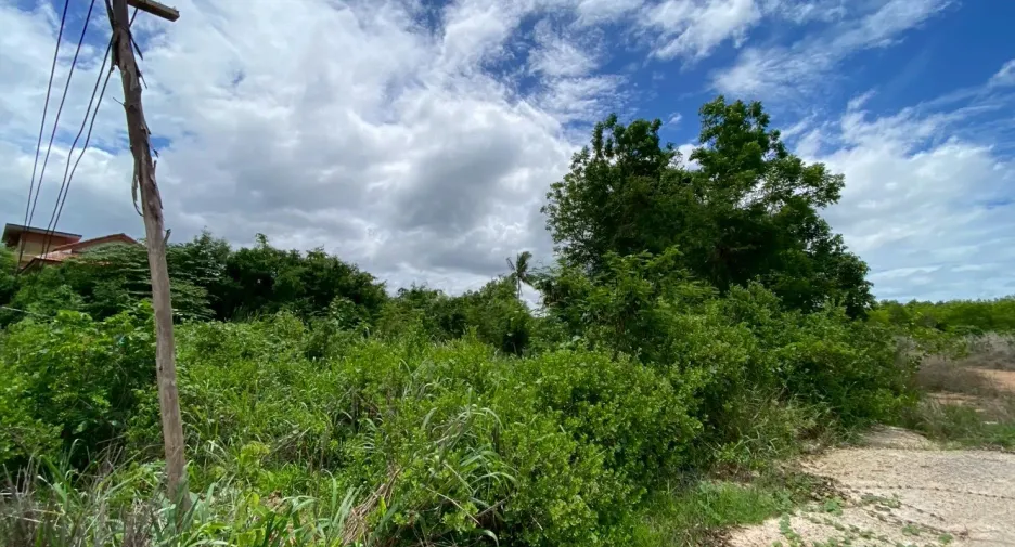 出售 土地 在 Pran Buri, 班武里府