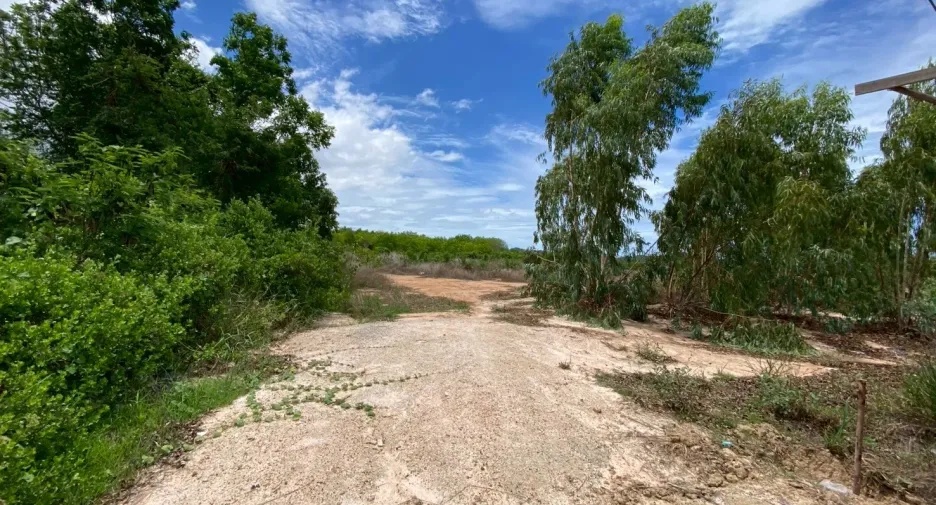 出售 土地 在 Pran Buri, 班武里府