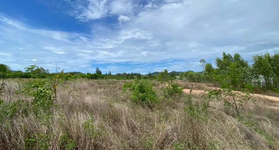 出售 土地 在 Pran Buri, 班武里府