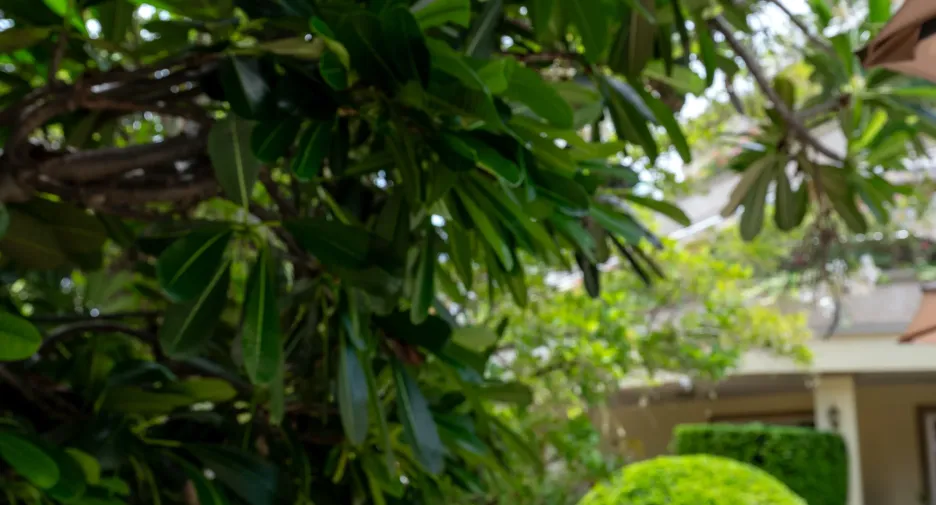 For sale 3 bedrooms apartment in Pratumnak, Pattaya