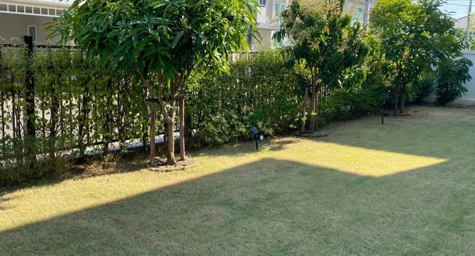 For rent 4 bedrooms house in San Kamphaeng, Chiang Mai