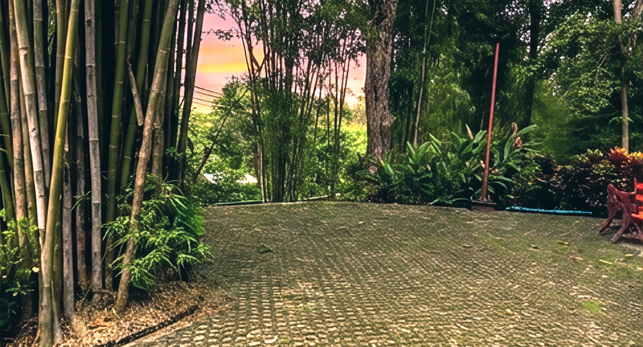 出租 3 卧室 独立屋 在 Mueang Chiang Mai, Chiang Mai