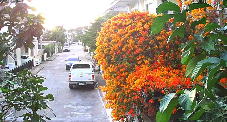 出售 和 出租 3 卧室 独立屋 在 Saraphi, Chiang Mai