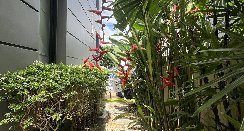 À vendre 5 chambres maison à Thalang, Phuket