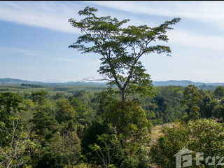 ขาย ที่ดิน ใน ถลาง, ภูเก็ต