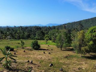 For sale land in Ko Samui, Surat Thani