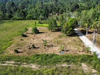 For sale land in Ko Samui, Surat Thani