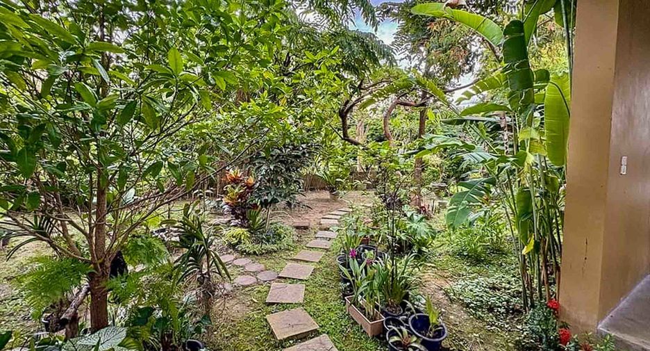Haus zum Kauf mit 3 Zimmer in Mae Rim, Chiang Mai