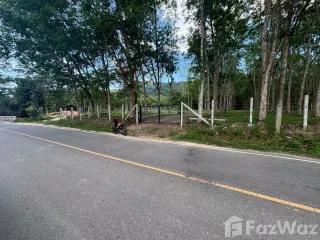 出售 土地 在 塔朗, 普吉
