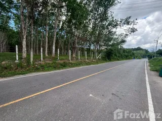 出售 土地 在 塔朗, 普吉