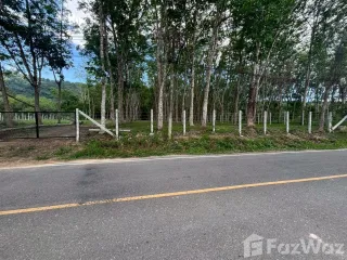 出售 土地 在 塔朗, 普吉