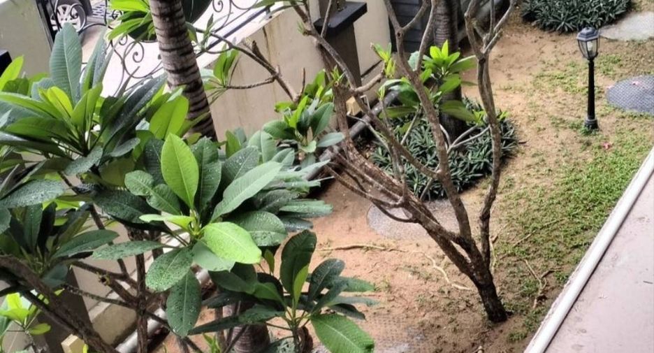 For rent 1 Beds condo in South Pattaya, Pattaya