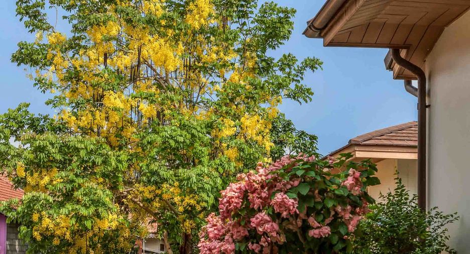For sale 5 ベッドルーム house in Mae Rim, Chiang Mai