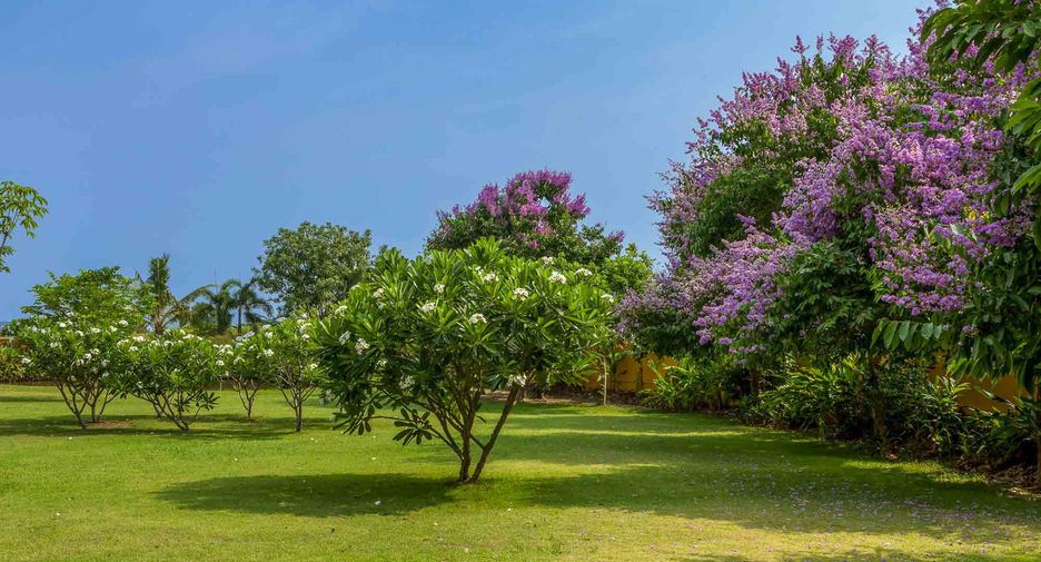 For sale 5 ベッドルーム house in Mae Rim, Chiang Mai