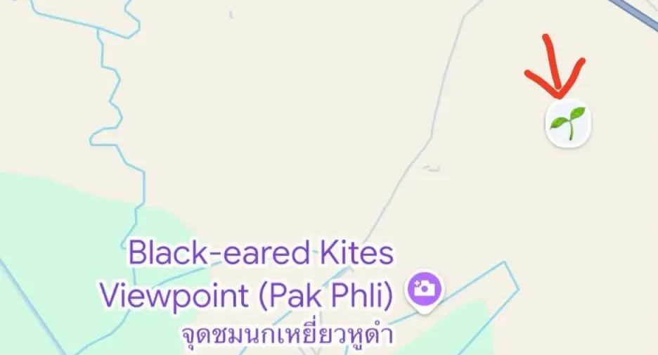 À vendre terrain à Pak Phli, Nakhon Nayok