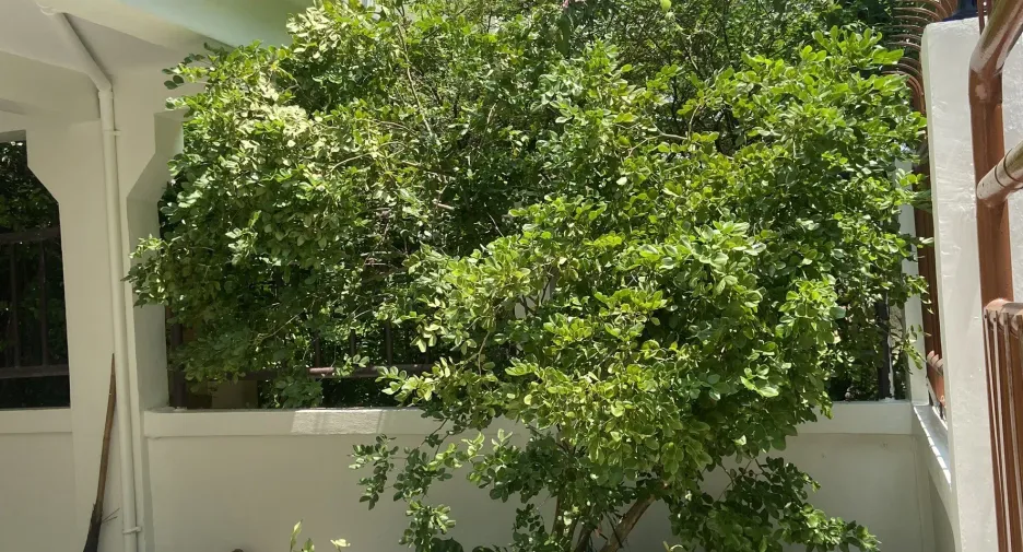 For rent 5 bedrooms townhouse in Watthana, Bangkok