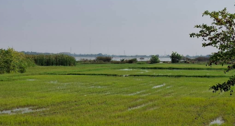出售 土地 在 Mueang Nakhon Ratchasima, Nakhon Ratchasima