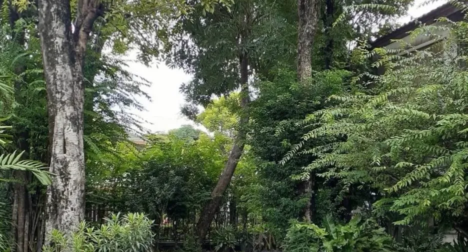 Casa en alquiler de 4 habitaciones en Bang Kapi, Bangkok