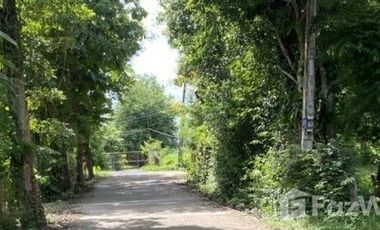 Продажа Участок в Сан Кампаенг, Чианг Маи