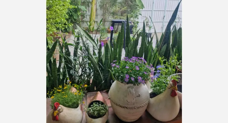 For sale 2 bedrooms house in Mueang Nonthaburi, Nonthaburi
