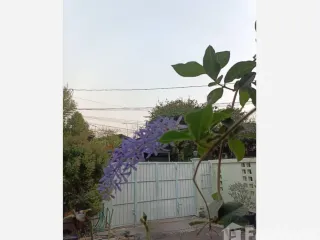 For sale 2 bedrooms house in Mueang Nonthaburi, Nonthaburi