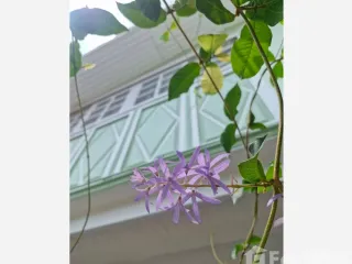 For sale 2 bedrooms house in Mueang Nonthaburi, Nonthaburi