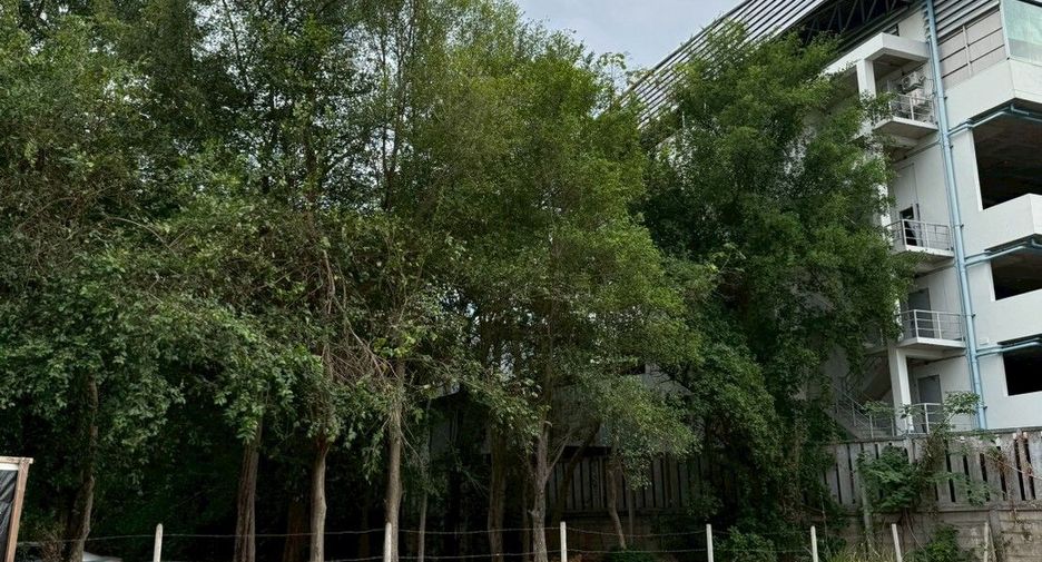 出售 土地 在 Mueang Chiang Mai, Chiang Mai