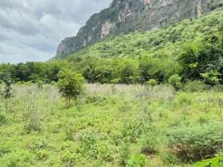 出售 土地 在 Cha-Am, Phetchaburi