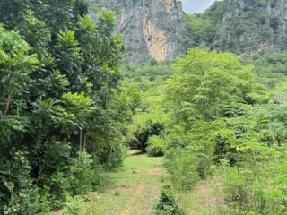 出售 土地 在 Cha-Am, Phetchaburi