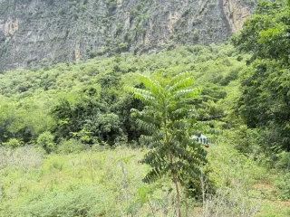 Terreno en venta en Cha Am, Phetchaburi