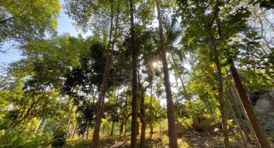 For sale 3 bedrooms villa in Ko Pha-ngan, Surat Thani