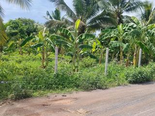 ขาย ที่ดิน ใน หัวหิน, ประจวบคีรีขันธ์