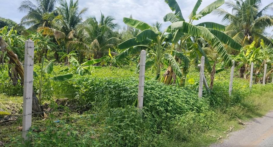 ขาย ที่ดิน ใน หัวหิน, ประจวบคีรีขันธ์