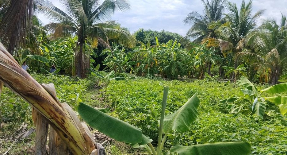 ขาย ที่ดิน ใน หัวหิน, ประจวบคีรีขันธ์