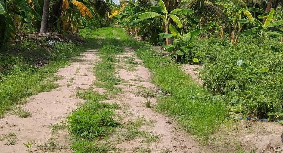 ขาย ที่ดิน ใน หัวหิน, ประจวบคีรีขันธ์