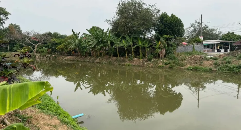 Casa en venta de 3 habitaciones en Saraphi, Chiang Mai
