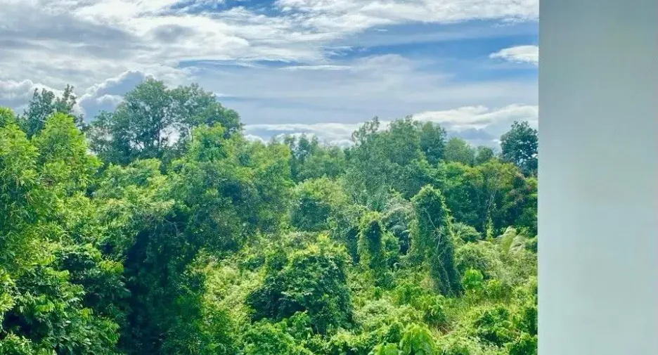 For rent 3 bedrooms villa in Thalang, Phuket
