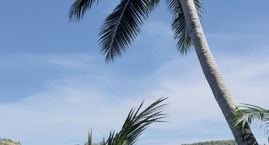 For sale and for rent 1 bed condo in Kathu, Phuket