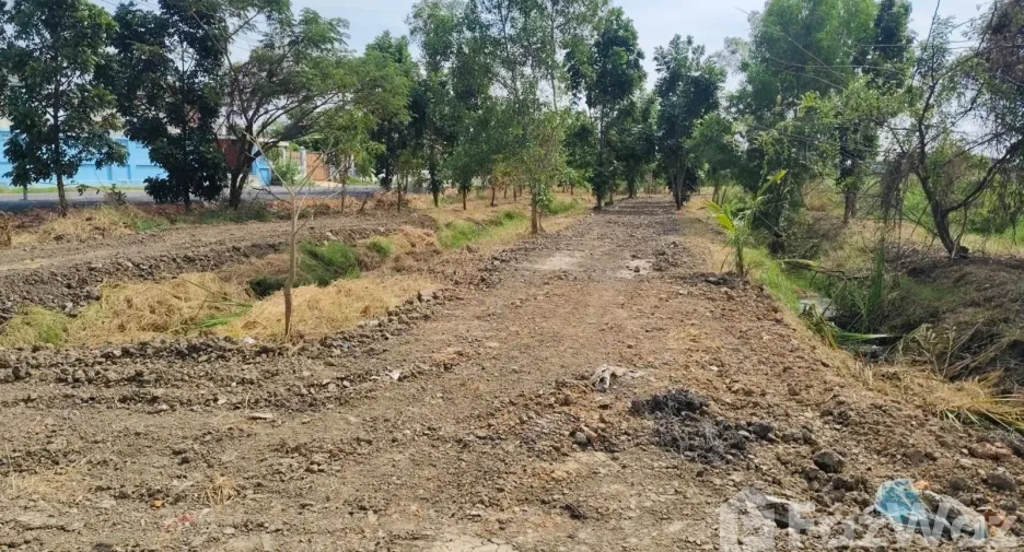 For sale land in Lat Krabang, Bangkok