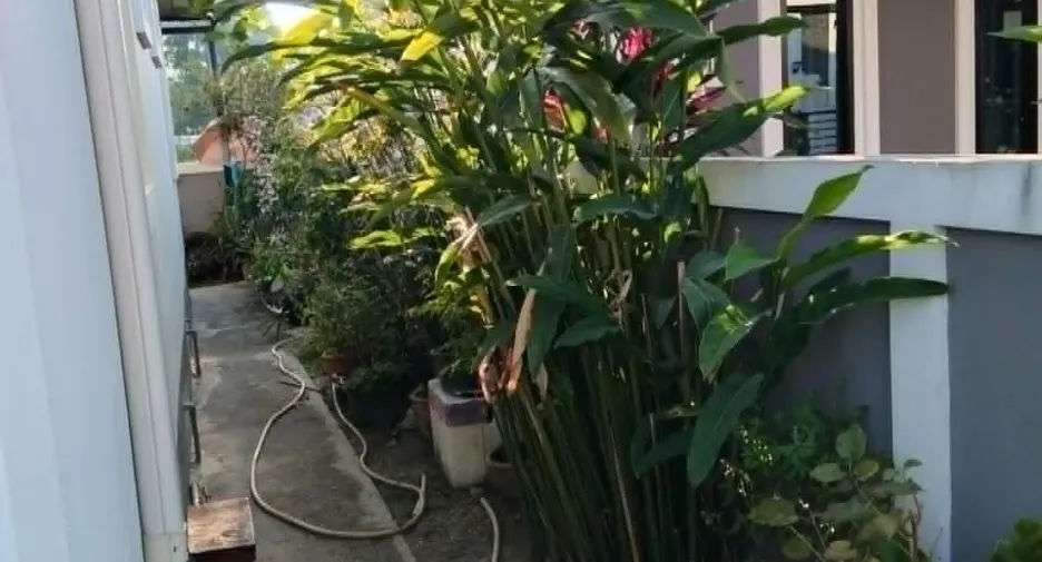 For rent 3 bedrooms house in Hang Dong, Chiang Mai