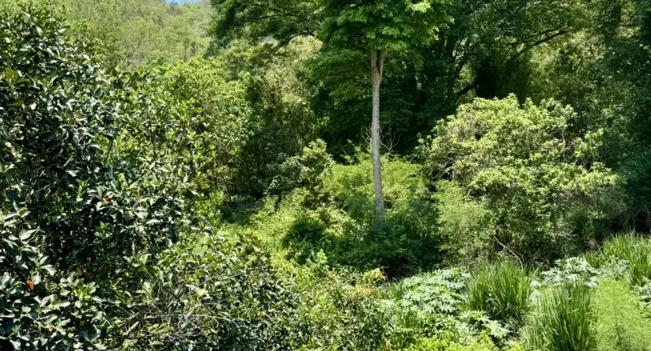 For sale 3 ベッドルーム house in Samoeng, Chiang Mai