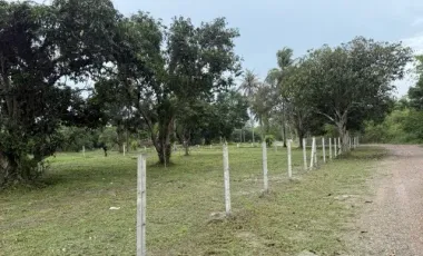 出售 土地 在 Cha-Am, Phetchaburi