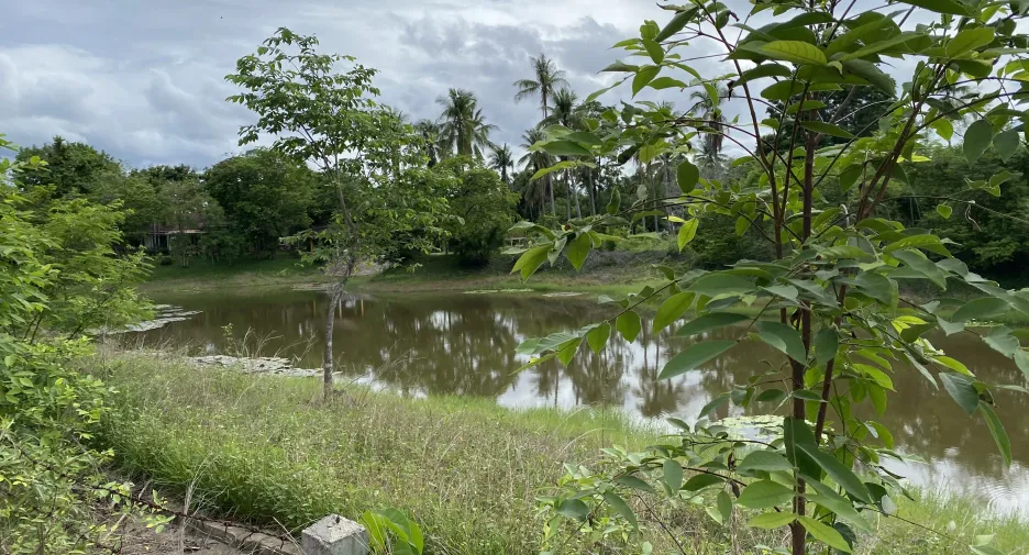 For sale land in Cha Am, Phetchaburi