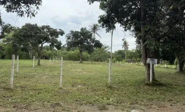 出售 土地 在 Cha-Am, Phetchaburi