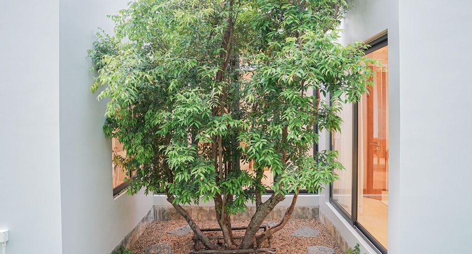 For sale and for rent 4 bedrooms villa in Thalang, Phuket