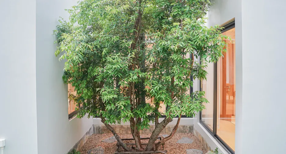 For sale and for rent 4 bedrooms villa in Thalang, Phuket