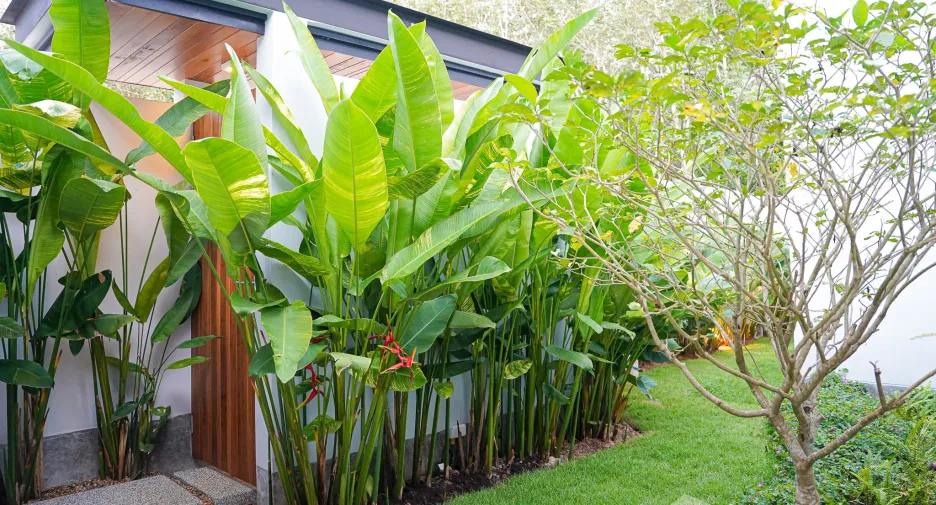 For sale and for rent 4 bedrooms villa in Thalang, Phuket