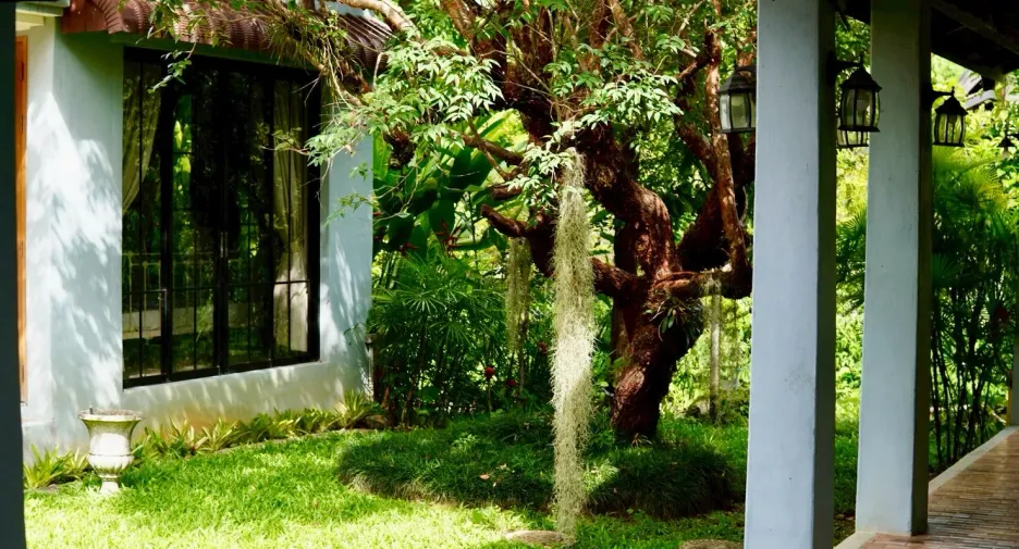 出售 3 卧室 独立屋 在 Mae Rim, Chiang Mai
