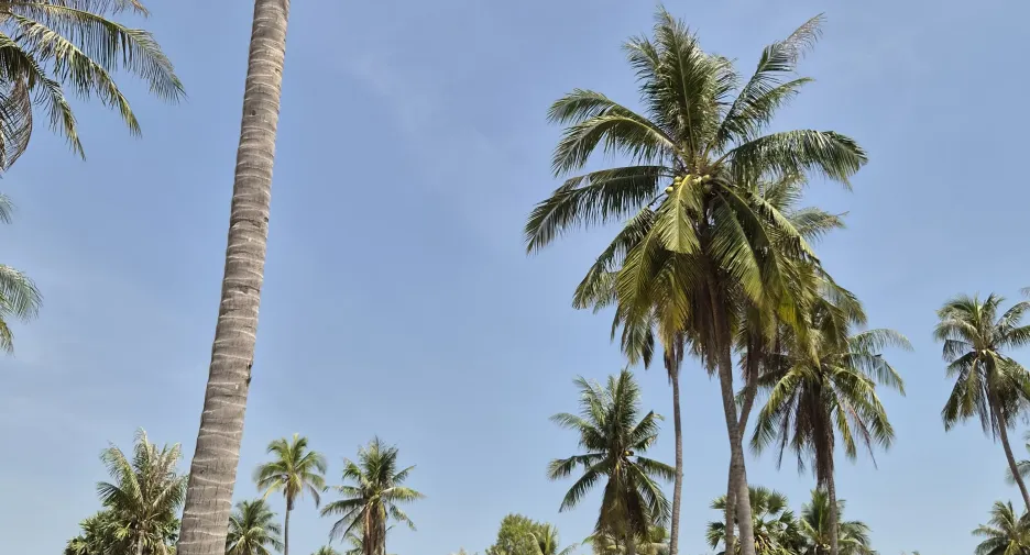 Grundstück zum Kauf in Mueang Prachuap Khiri Khan, Prachuap Khiri Khan